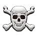 CAPerz - Skull and Crossbones