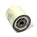 Briggs and Stratton 1719168YP Filter, Oil