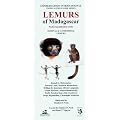 Lemurs of Madagascar (Conservation International Pocket Guide Series)