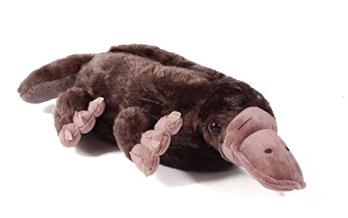Happy Feet - Platypus - Animal Slippers