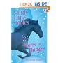 Horse in Danger (Sandy Lane Stables)