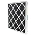 Carbon Impregnated Filter, 20x20x2" (PK-12)