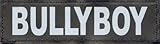 BULLYBOY 2x Logos groß weiß/reflektierend für Julius K9 Hundegeschirr / Logo Klettlogo Austauschlogo K-9 Powergeschirr + IDC (Geschirrgrößen