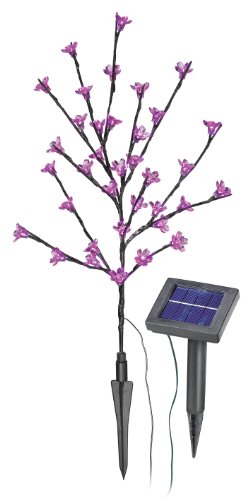 Esotec SOA Arbuste solaire muni de 36 fleurs roses