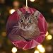 Custom Personalized Pet Photo Memories Porcelain Ornament