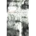 Green and Gray (New California Poetry)