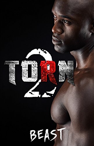Torn 2
