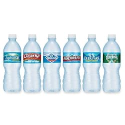 Spring Water, 16.9 Oz. Bottles, Case Of 24