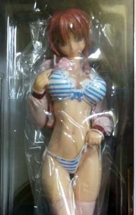 Cover image : ToHeart2 向坂 環 デレ顔バージョン (1/5スケールPVC塗装済み完成品)