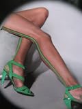 Women`s Designer Sheer Tights