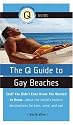 Q GUIDE TO GAY BEACHES, THE
