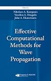 Effective Computational Methods for Wave Propagation (Numerical Insights)