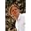 Thumbnail image of Latent Anxiety