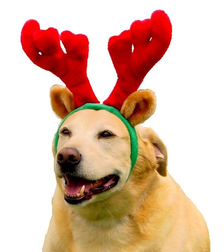 HOLIDAY REINDEER ANTLERS LARGE 10