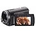 JVC Everio Hybrid GZ-MG730 30GB Hard Drive Camcorder