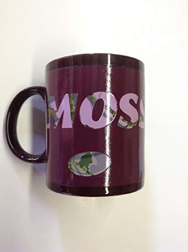 Havercamp Mossy Oak Pink 11oz Camo Camouflage Changing Coffee Mug