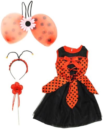 Miss Princess Ladybug Dress Up Costume