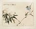 Chinese Sumi-e Brush Painting Art, Watercolor on Paper - Blue Bird