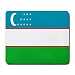 Uzbekistan Flag Mouse Pad
