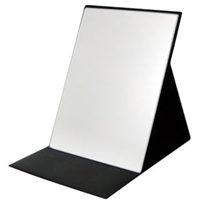 プロモデル折立ミラー・エコ(M) HP-22