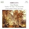 Bild des Albums von Jean Sibelius