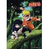 Naruto: Naruto & Sasuke Forest Wall Scroll