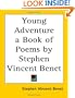 Young Adventure: A Book of Poems