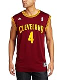 NBA Men's Cleveland Cavaliers Antawn Jamison Revolution 30 Road Replica Jersey (Maroon, Large)