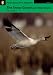 The Snow Goose and Other Stories: Level 3 (Penguin Longman Active Reading)