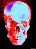 Facial Reconstruction Colorized Photographic Poster Print, 24x32