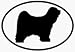 Tibetan Terrier