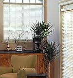 Blindsgalore QuickShip 2 Faux Wood Blind