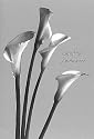 Gru&szlig;karte Beileid: Calla