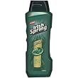 Irish Spring Body Wash With Aloe, 18 FL OZ