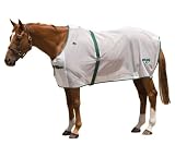 SAXON Basic Fly Sheet