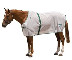 SAXON Basic Fly Sheet