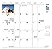 Chihuahuas 2016 Two-year Pocket Planner