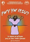 Pwy yw Iesu? : 16 sesiwn ar gyfer plant cynradd yn edrych ar y gwahanol enwau a ddefnyddir yn y Testament Newydd i ddisgrifio Iesu