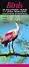 Books : Birds of Southeast Texas and the Upper Texas Coast: A Guide to Common and Notable Species (Quick Reference Guides)