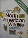 North American Wildlife, an Illustrated Guide