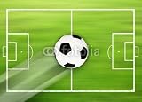 Wallmonkeys Peel and Stick Wall Decals - Fußballfeld Mit Fußball - 36