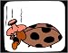Decorated Mouse Pad with bug, heating, lady, insect, pad
