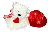 Puppy Love - Mop Top Puppy With Handmade Belgian Chocolates