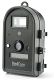 Outdoor Nature Cameras: Audubon BirdCam
