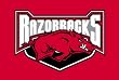 University of Arkansas Razorbacks Indoor/Outdoor Floormat