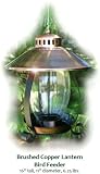 Woodlink Brushed Copper Bird Feeder Lantern