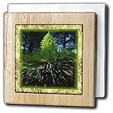 Susan Brown Designs Flower Themes - Yellow Yucca Flower - Tile Napkin Holders