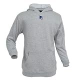 Detroit Tigers MLB JV Youth Pullover Hooded Sweatshirt For Kids (Heather)