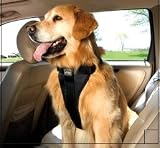 Kurgo Tru-fit Dog Harness, Large (50 to 80 Pounds)