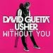 Without You (Feat. Usher)